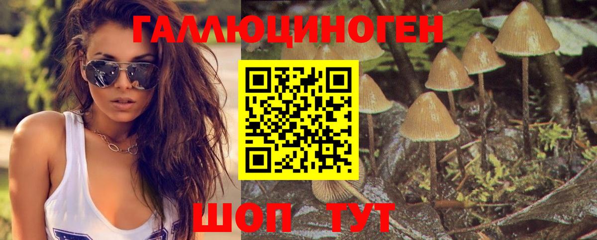 Псилоцибиновые грибы Psilocybe  Вход с VPN  Зерноград  Галлюциногенные грибы Psilocybe 