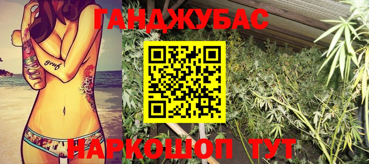 Канабис план Зерноград